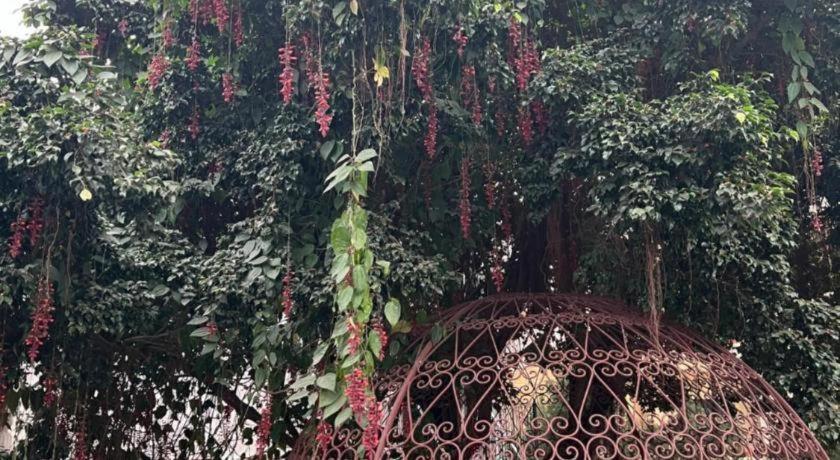 Club Denovo Hotel Butwal Eksteriør billede