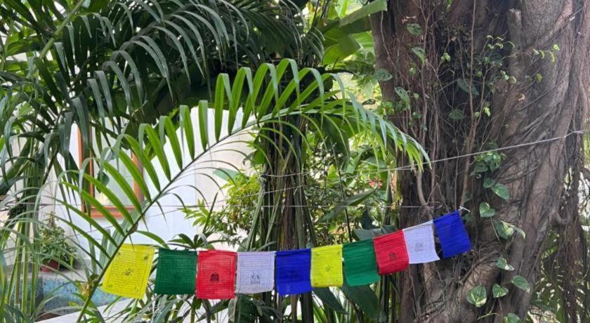 Club Denovo Hotel Butwal Eksteriør billede