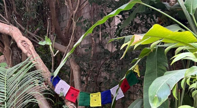 Club Denovo Hotel Butwal Eksteriør billede
