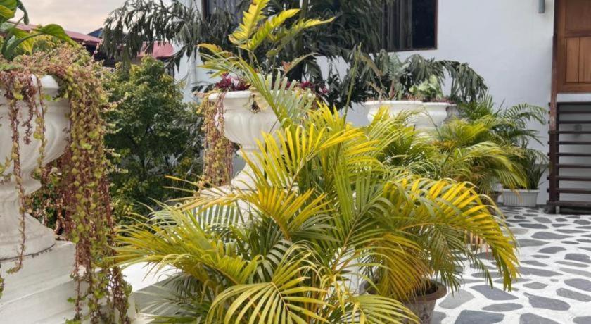 Club Denovo Hotel Butwal Eksteriør billede